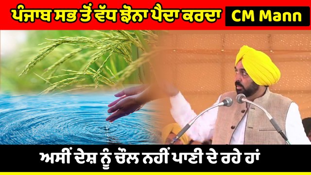 ਅਸੀਂ ਦੇਸ਼ ਨੂੰ ਚਾਵਲ ਨਹੀਂ ਬਲਕਿ ਪਾਣੀ ਦੇ ਰਹੇ ਹਾਂ : CM Bhagwant Mann | OneIndia Punjabi