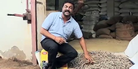 लम्प्पि बीमारी का देसी इलाज /राजस्थान मे लम्प्पि बीमारी का देसी इलाज