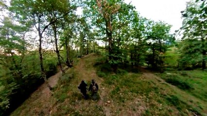 Censimento del cervo: una notte nel bosco insieme ai volontari