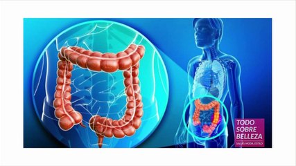 Todo Sobre Belleza  -  24 Setiembre 2022