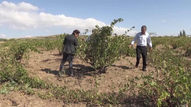 Dolu ve selden zarar gören köylerde hasar tespit çalışması