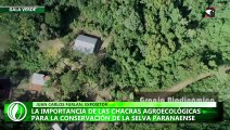 La importancia de las chacras agroecológicas para la conservación de la selva Paranaense