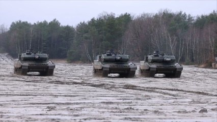 Hofreiter: Deutschland verbietet Spanien, "Leopard 2"-Panzer an Ukraine zu liefern