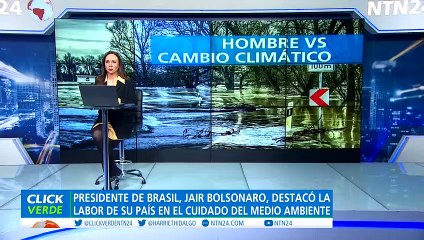 Estados Unidos avanza en programas de protección de la Amazonía