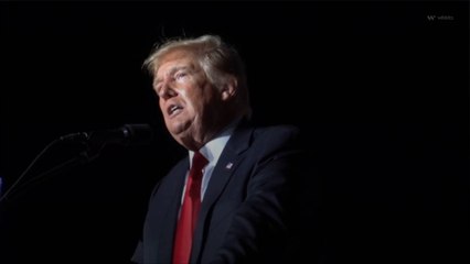 Special Master Dearie Asks Trump To Prove FBI ‘Planted’ Evidence