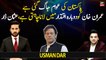 "Nation wants to bring Imran Khan back to power," Usman Dar