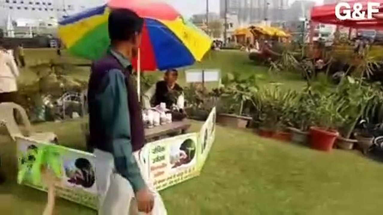 How To Grow Plants | How To Care Plants |