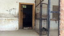 मंडी में किसान कलेवा योजना की सुविधा बंद होने से काश्तकारों की बढ़ी मुश्किल