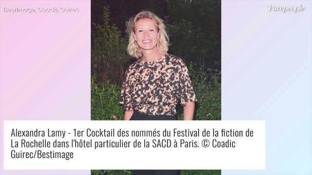 20 ans d'Un gars, une fille : Alexandra Lamy écartée, les raisons surprenantes de son absence
