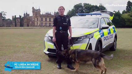 Larbert Top Dog Luna Wins Thin Blue Paw Awards