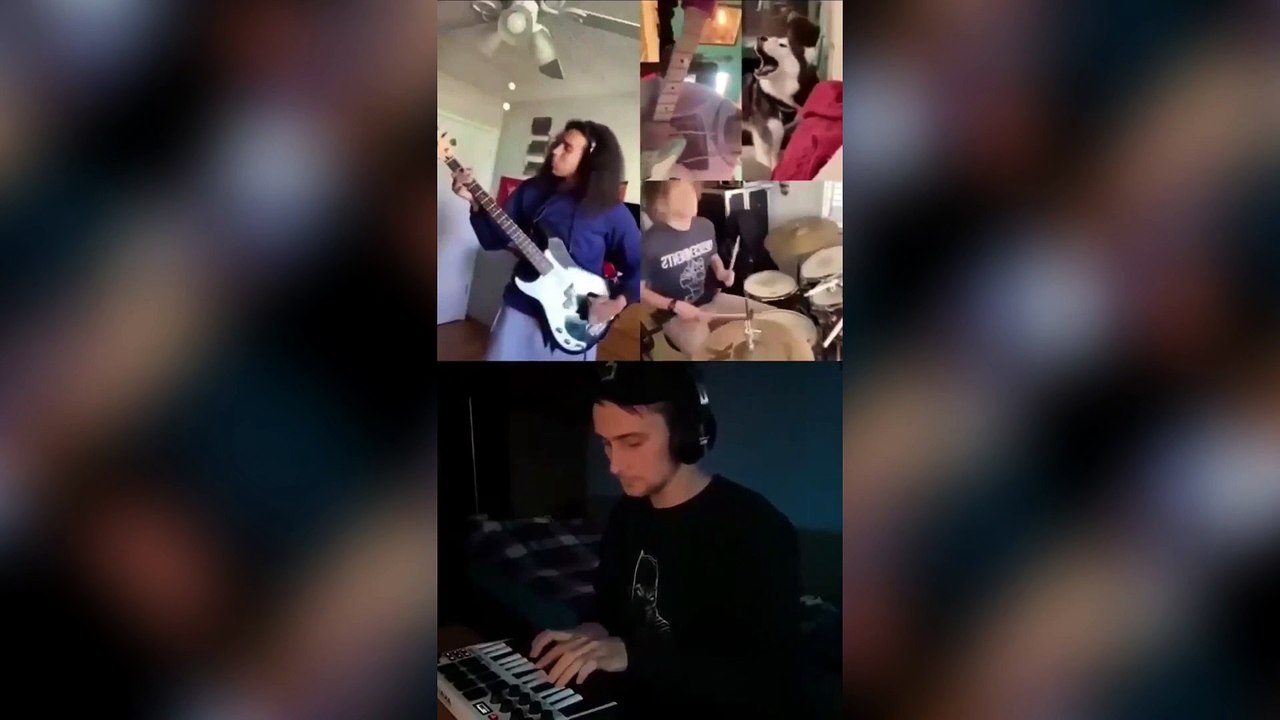 Try not to laugh