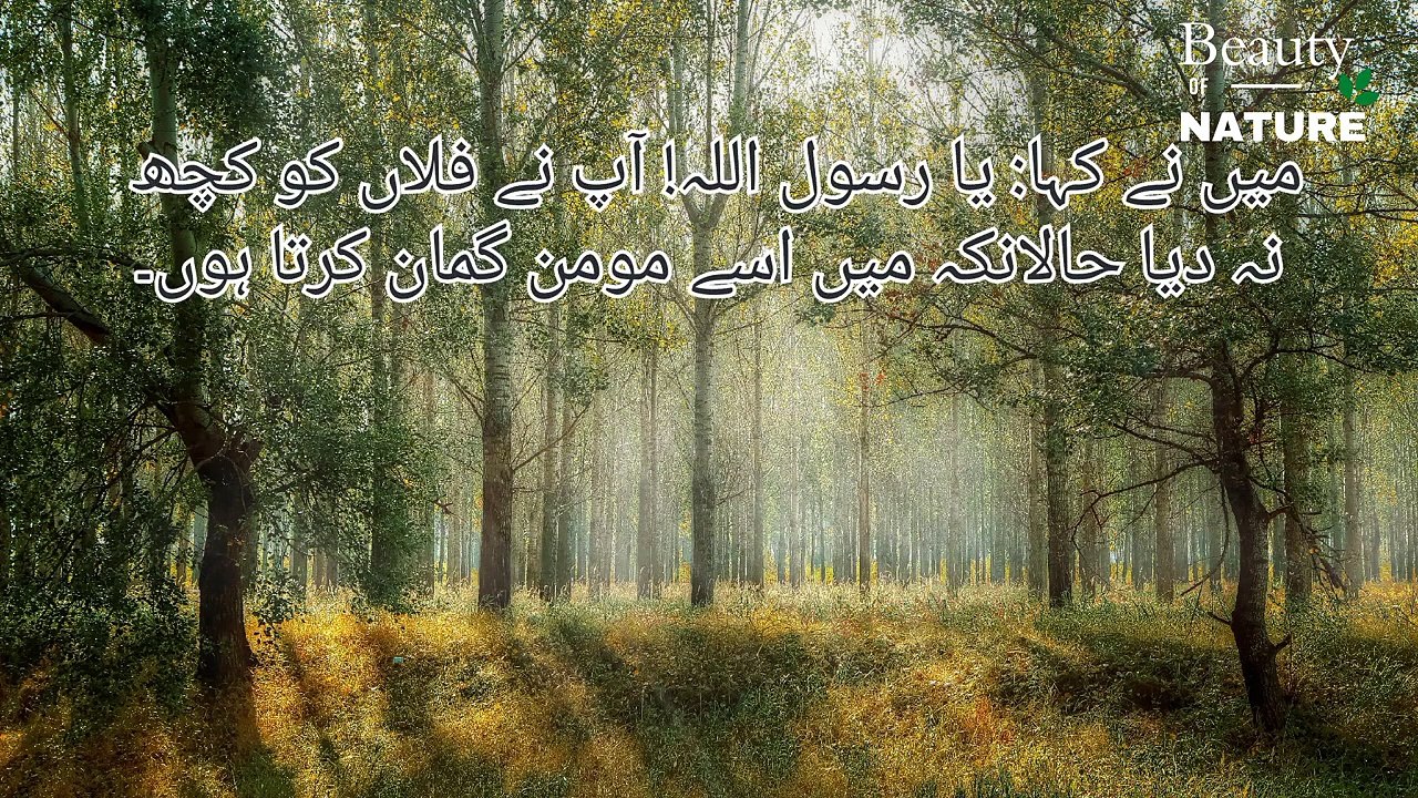 Sahih Bukhari Hadees No.27 _ Hadees Nabvi in Urdu _ Bukhari Hadees _ Bukhari Shareef in Urdu