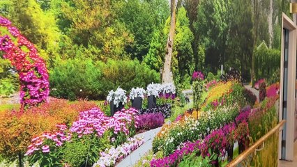 Aperçu de certaines murales (Le Reflet)