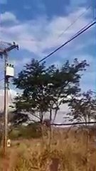 Descargar video: Momento en el que un helicóptero se enreda en las líneas eléctricas y se desploma