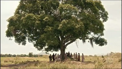 Os sinais que acontecerão no FIM DOS TEMPOS