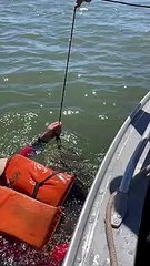 Pescador de Porto Camargo pega jaú de 1,70m e amigos compram peixe para soltá-lo