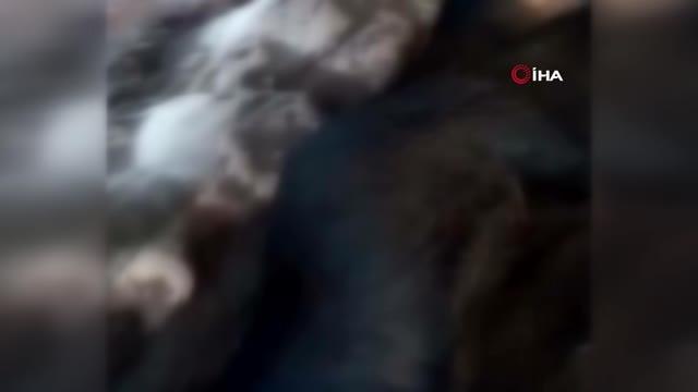 Ağıla yıldırım düştü, 38 küçükbaş hayvan telef oldu