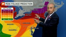 Your fall foliage forecast for the U.S.