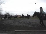 un cours d'équitation