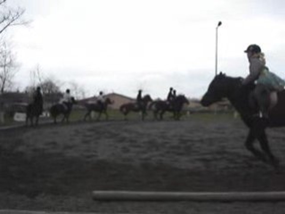 un cours d'équitation