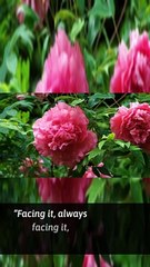 37 Joseph Conrad quotes that will motivate you