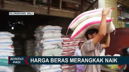 Download Video: Pedagang Beras di Sejumlah Daerah Keluhkan Harga Beras yang Mulai Merangkak Naik