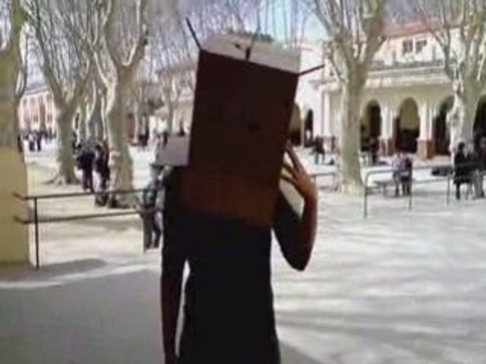 Stupid-DafT