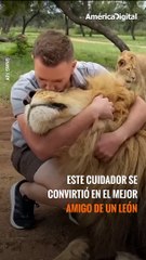 Amistad verdadera: un león y su cuidador tienen un enorme vínculo