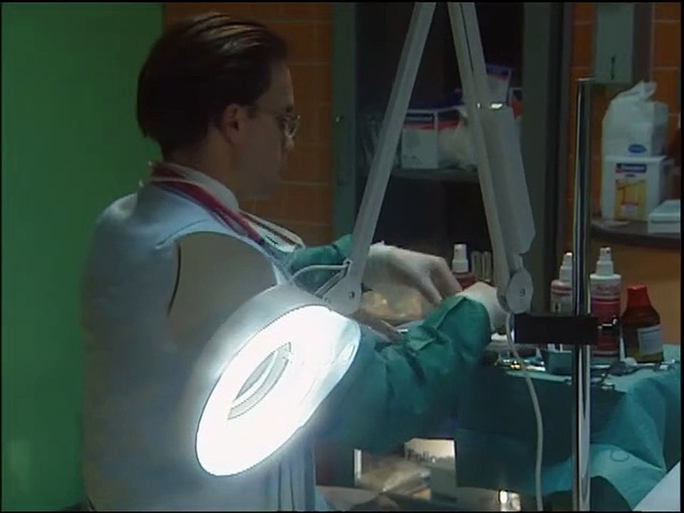 Alphateam - Die Lebensretter im OP Staffel 4 Folge 13 HD Deutsch