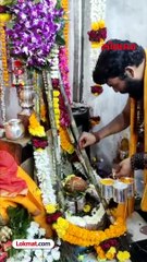 साडेतीन शक्तिपीठांपैकी एक असलेल्या रेणुकामातेचा माहूरगड सजला..