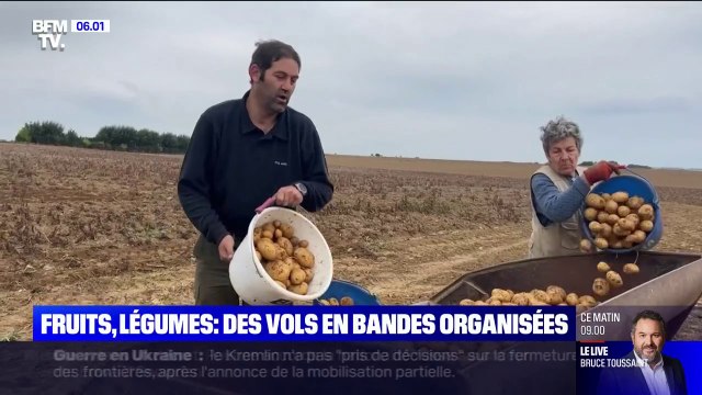 Inflation: des agriculteurs témoignent d'une augmentation des vols de pommes de terres et légumes de saison