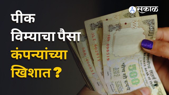 Crop Insurance | पीक योजनांचा पैसा जातोय विमा कंपन्यांच्या खिशात ?| Sakal Media