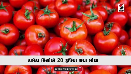 આ કારણે વધ્યા શાકના ભાવ,  બગાડ્યું ગૃહિણીઓનું બજેટ