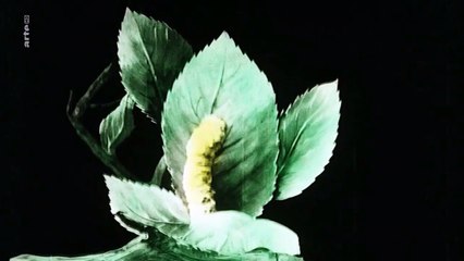 Liebe am Werk Staffel 1 Folge 2 HD Deutsch