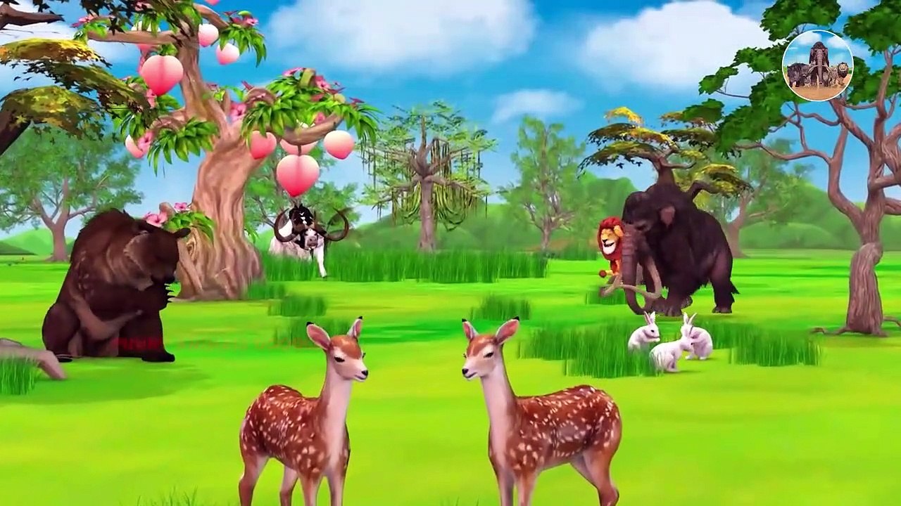 FUNNY ANIMALS MONKEY ,COW, CAT, DEAR , DOG