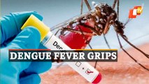 Dengue outbreak in Odisha: Bhubaneswar, Sundargarh worst hit