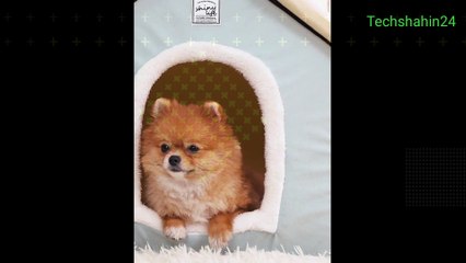 Pets House and Sleeping Bed Techshahin24