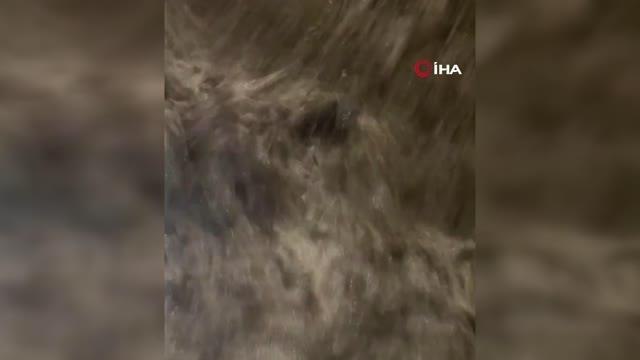 Kayseri haberi: Japonya'yı Talas Tayfunu vurdu: 2 ölü, 3 yaralıYaklaşık 130 bin kişiye tahliye çağrısı