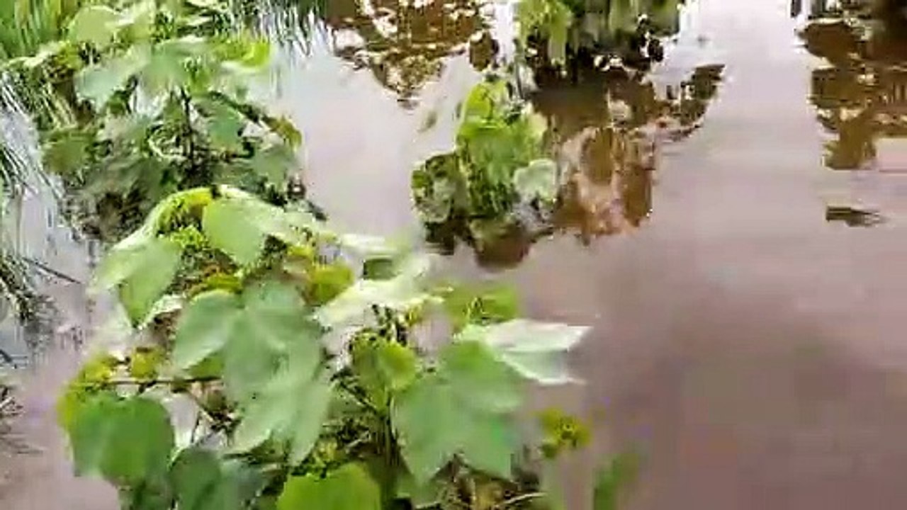 वीडियो में देखिए, इस डैम के पानी से कैसे डूबी फ...