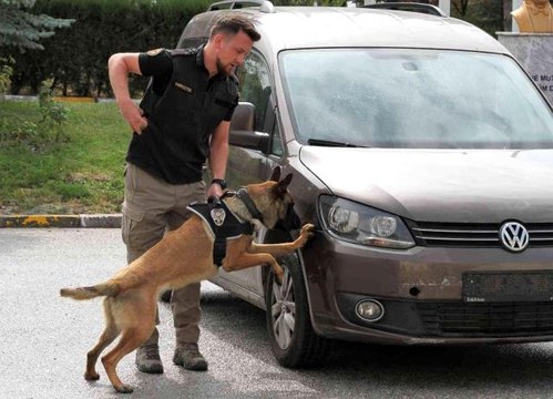 Son dakika haberi! Sıkı eğitimden geçen 'hassas burunlar' operasyonlarda önemli görevler alacak