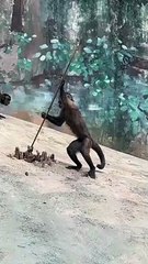 Monkeys can really play