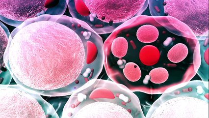 How many cells are in your body?