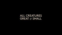 All Creatures Great and Small S03E02