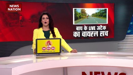 Lie Detector Test : टाइगर ने शिकार ज़िंदा क्यों छोड़ा ?