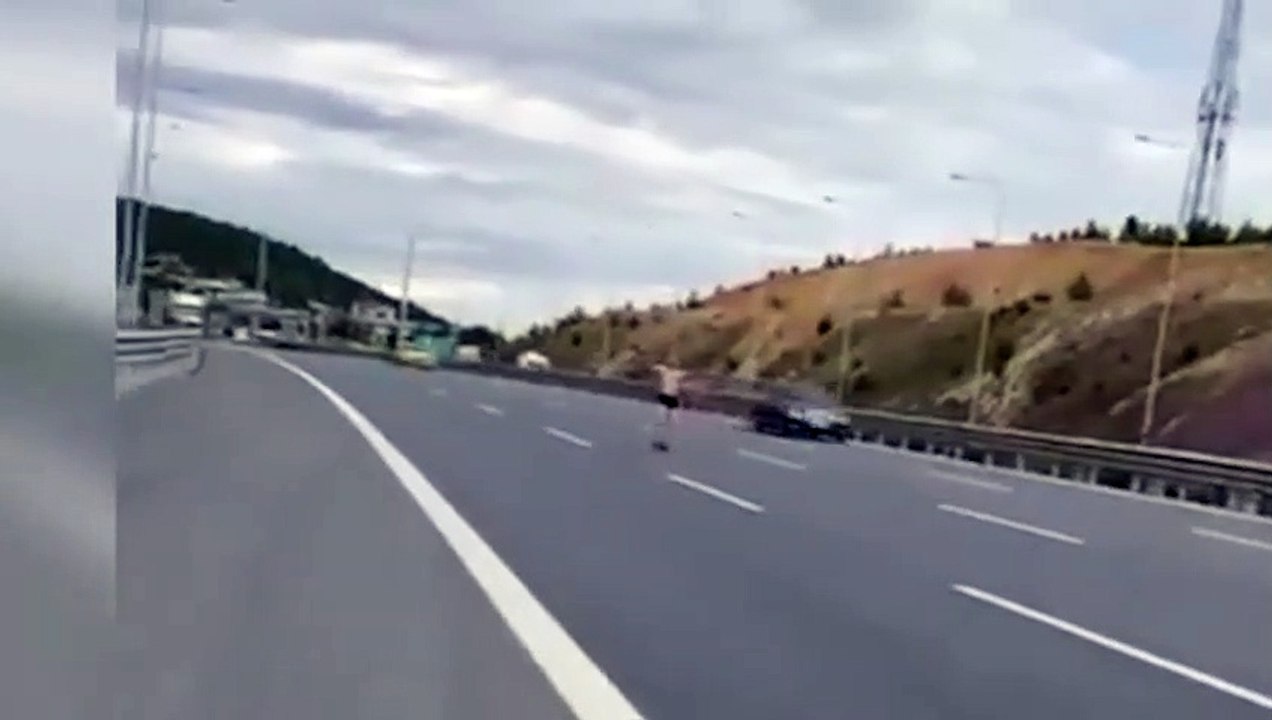 Otoban ortasında ilginç görüntü