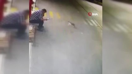 Bisikletli kapkaççı oturan adamın elindeki telefonu böyle çaldı