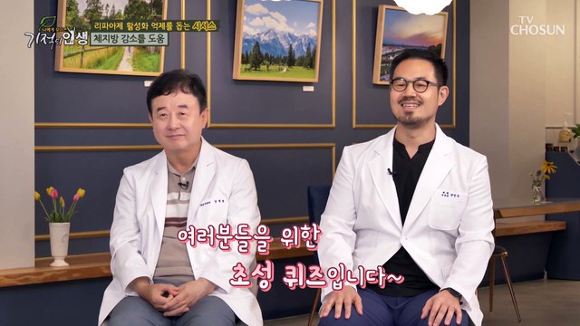 체지방 감소에 도움을 주는 시서스 속 핵심 성분들!? TV CHOSUN 20220924 방송