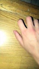 This Spider Is an Escape Artist