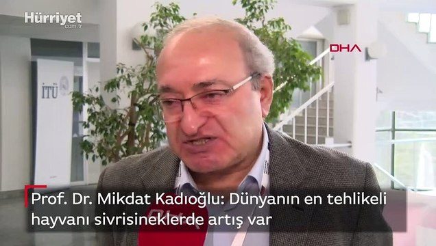 Prof. Dr. Mikdat Kadıoğlu: Dünyanın en tehlikeli hayvanı sivrisineklerde artış var