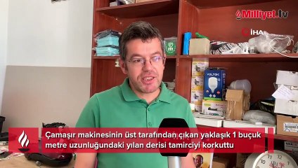 Tamir ettiği çamaşır makinesinden yılan derisi çıktı